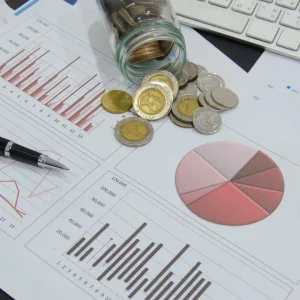 Yatırım Teşvik Belge Türleri