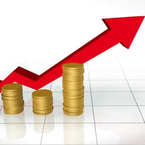 Yatırım Teşvikleri 2025